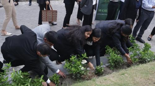 Plantation - World Environment Day 2024